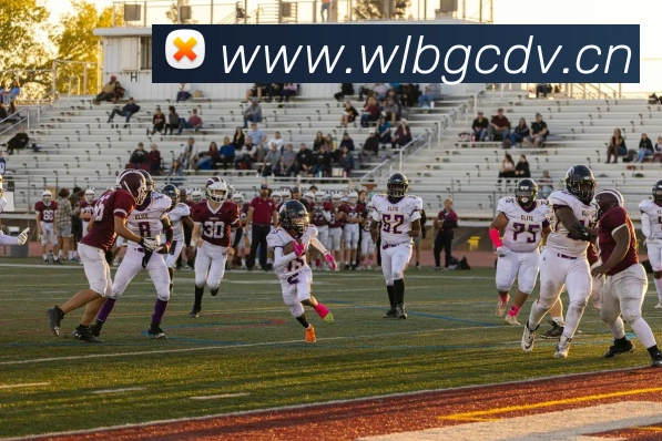 App Interface Preview