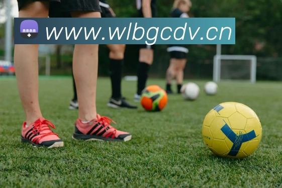 kaiyun官方网站APP 封面图